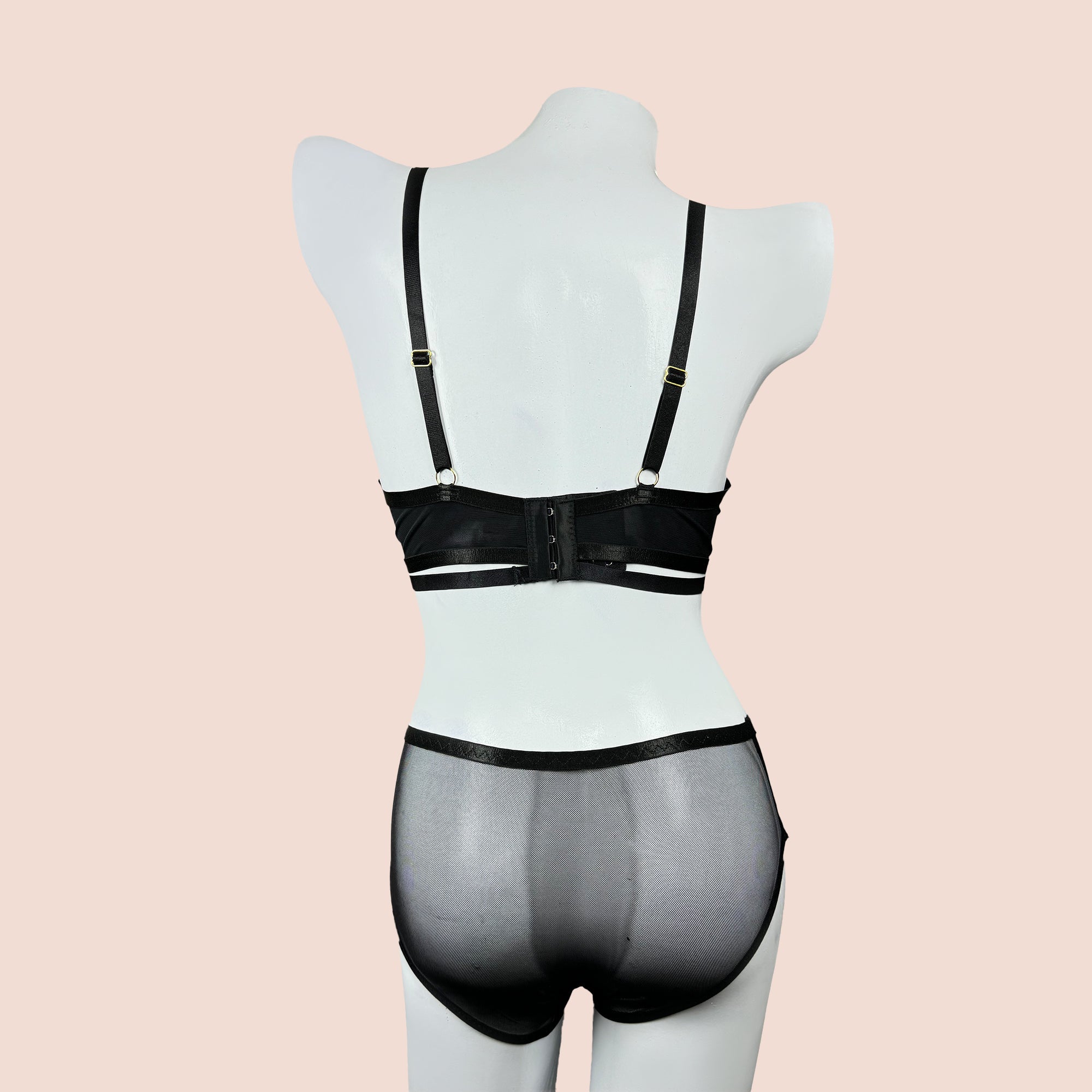 Premium Intimate Padded Wired Bra with Matching Panty