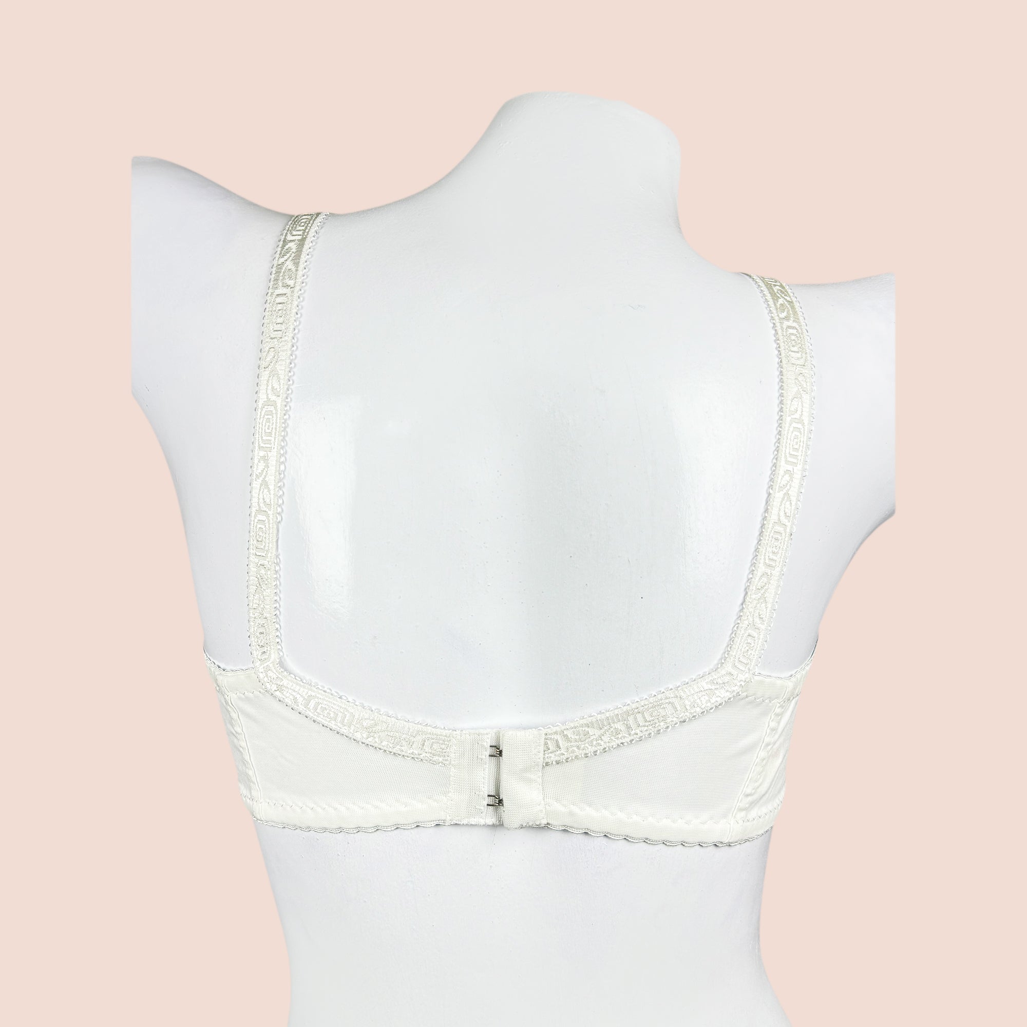 Daily Wear Premium Cotton Bra