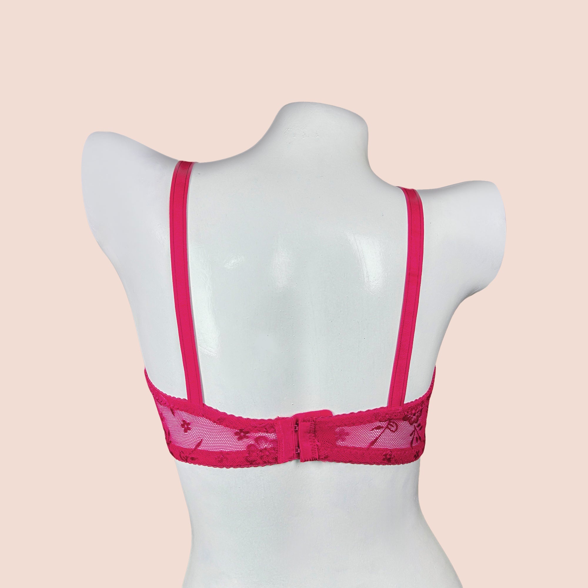 Ice Silk Daily Wear Women Bra