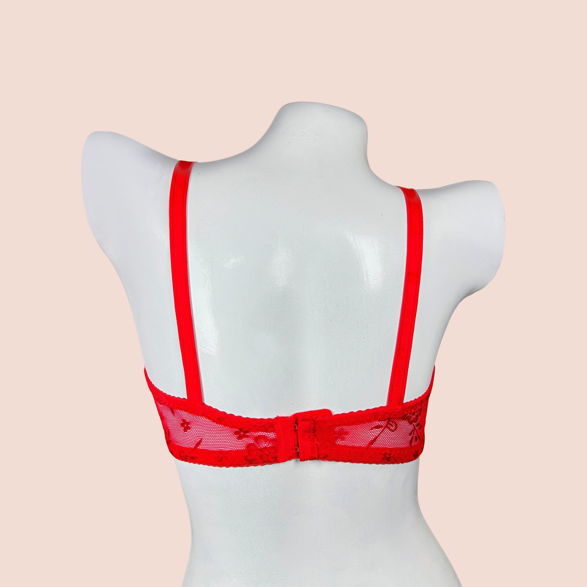 Ice Silk Daily Wear Women Bra